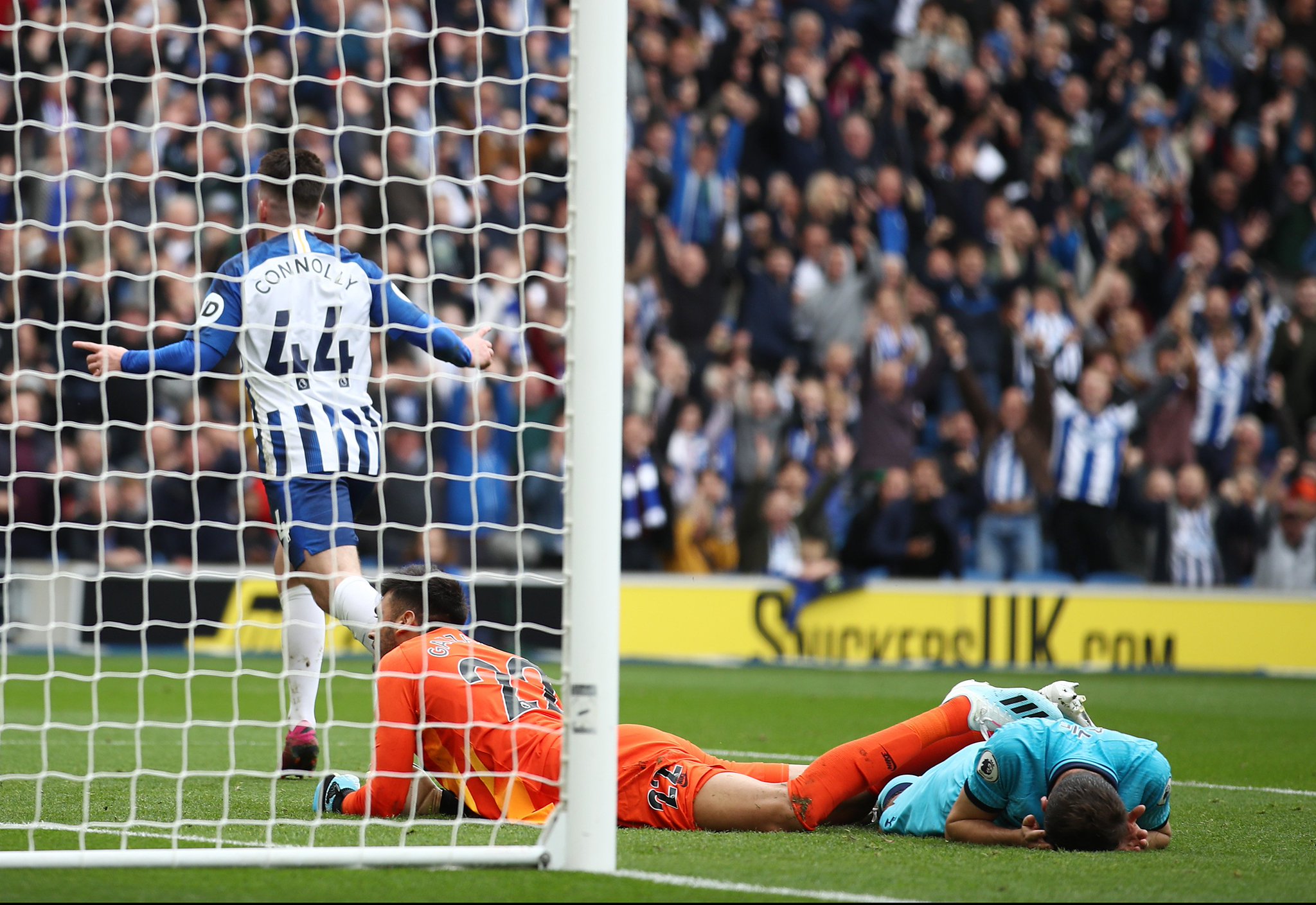 德丙鱼腩球 德丙鱼腩球